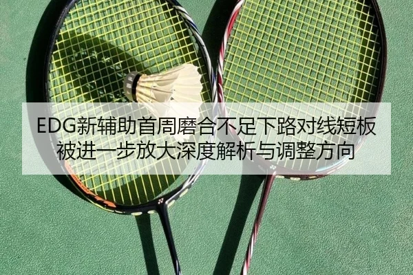 EDG新辅助首周磨合不足下路对线短板被进一步放大深度解析与调整方向